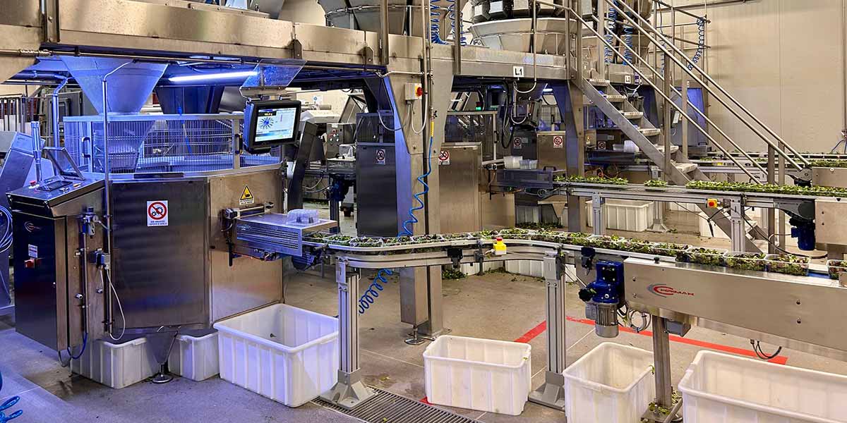 La Maggiolina e TOMRA, innovazione ed eccellenza nelle baby leaf